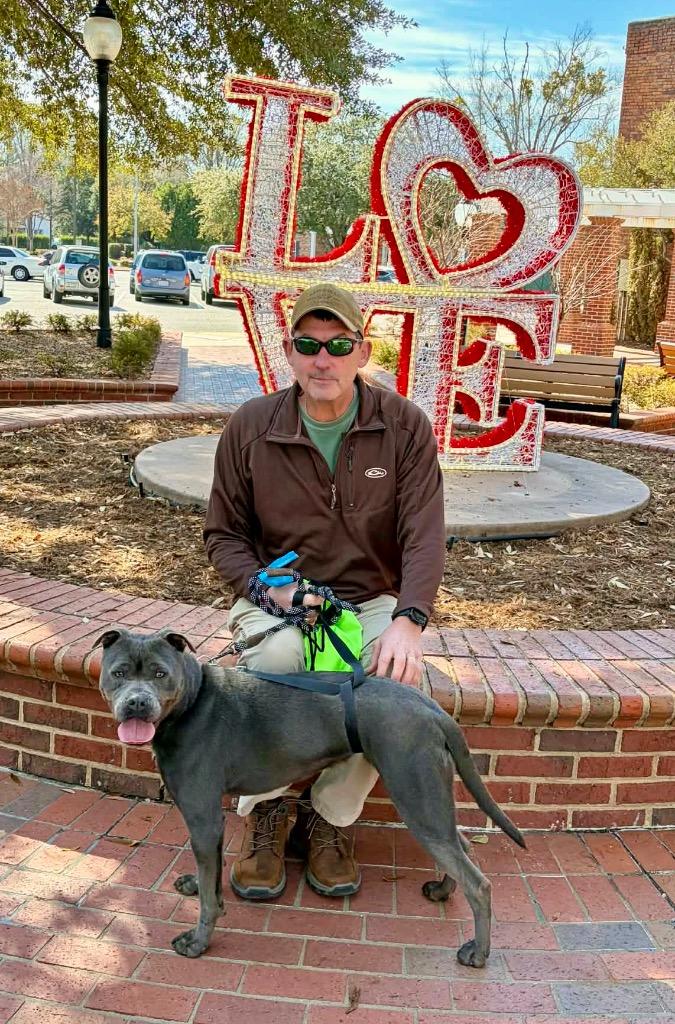 Enlarge Buffy, a Adoptable mixed breed in Hartsville, SC image 4/6