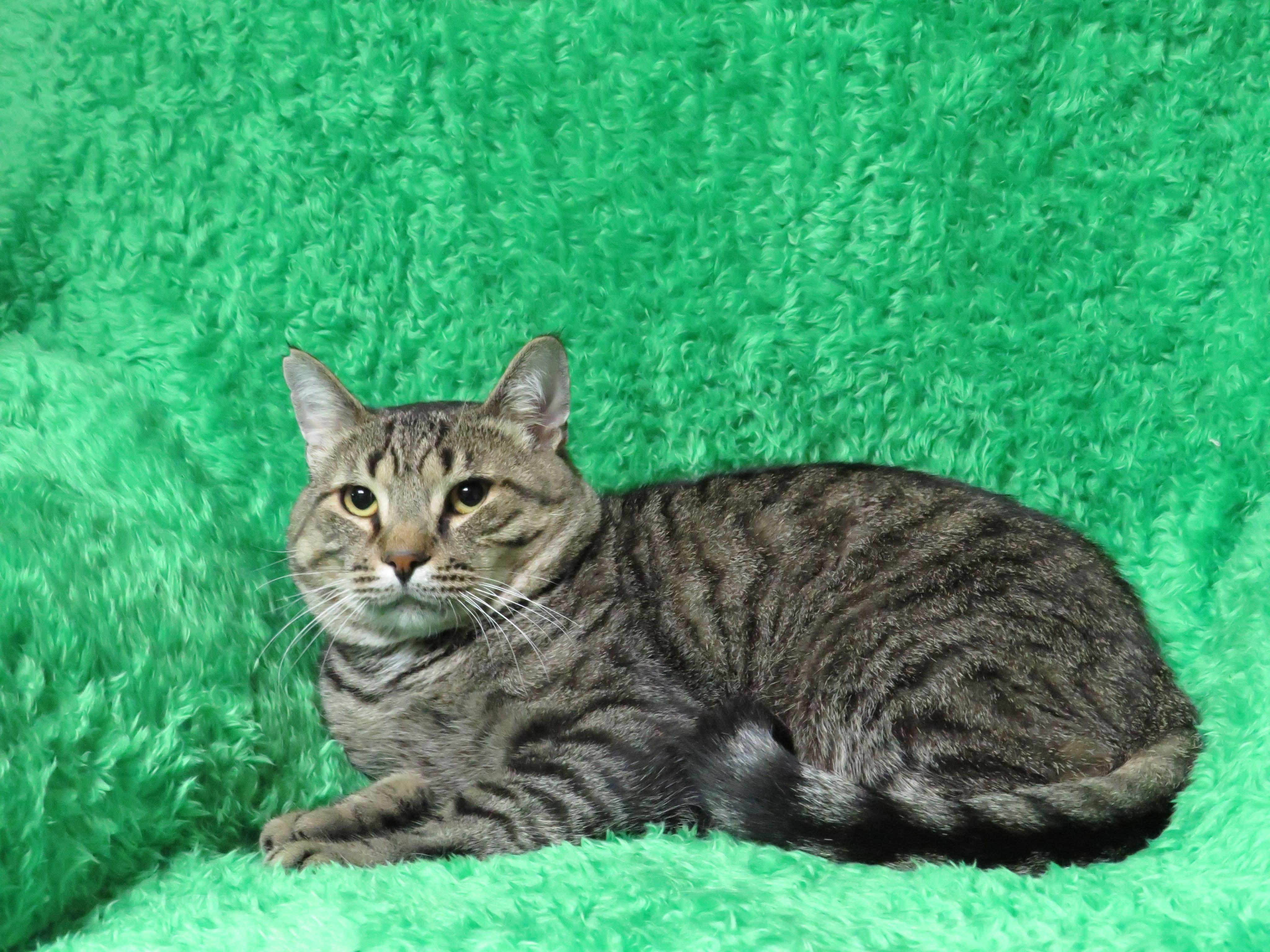 Calvin photo 3