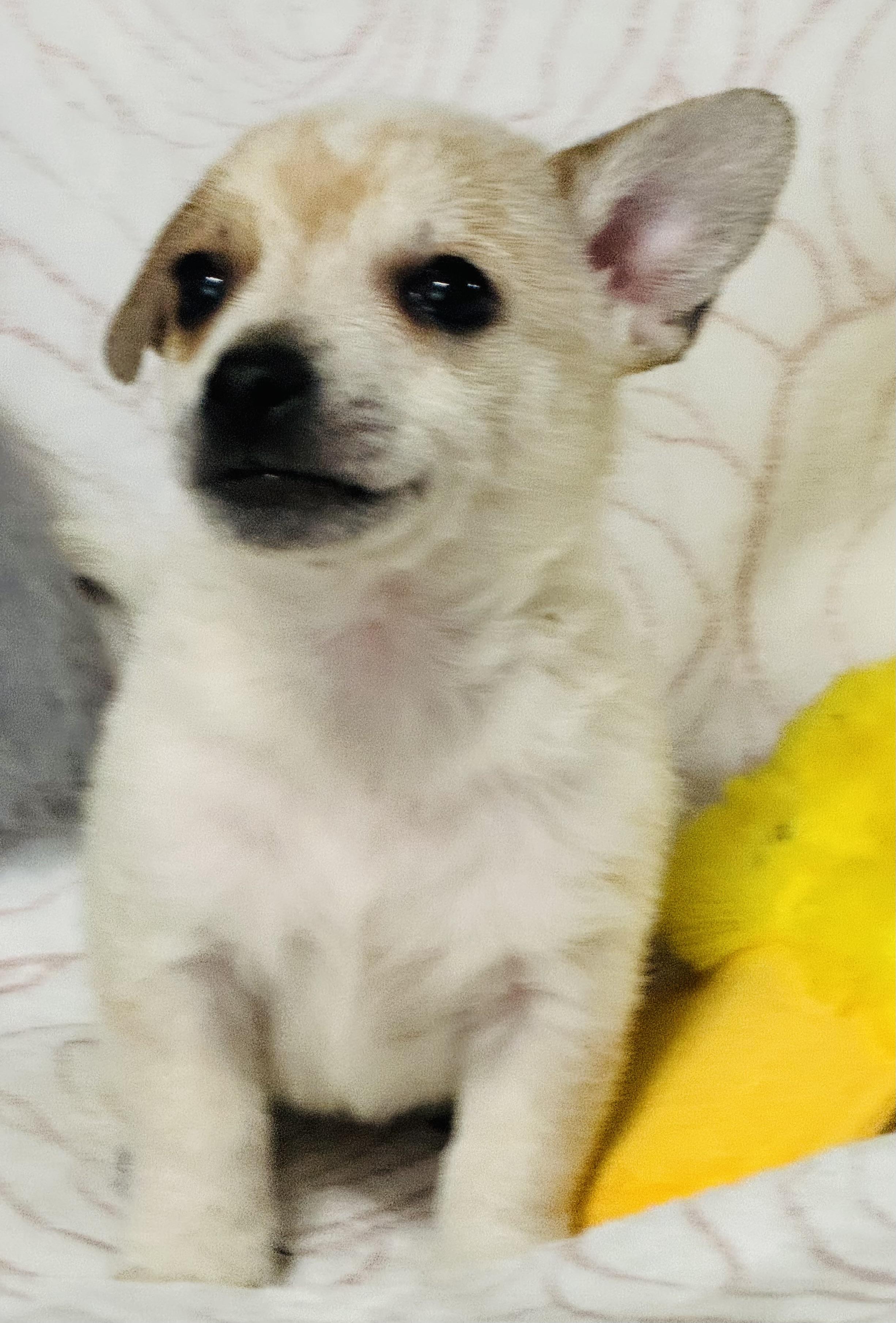 Klondike thumbnail 3