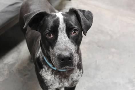 Mcflurry thumbnail 2