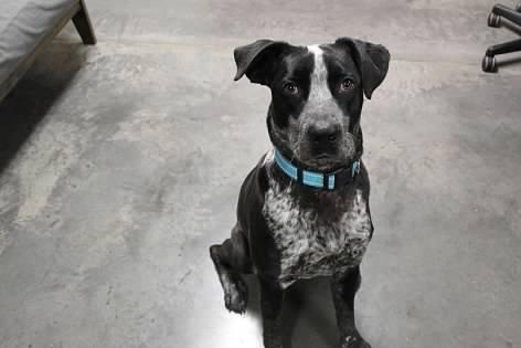 Mcflurry thumbnail 3