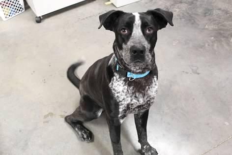 Mcflurry thumbnail 4