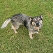 Annie photo 2