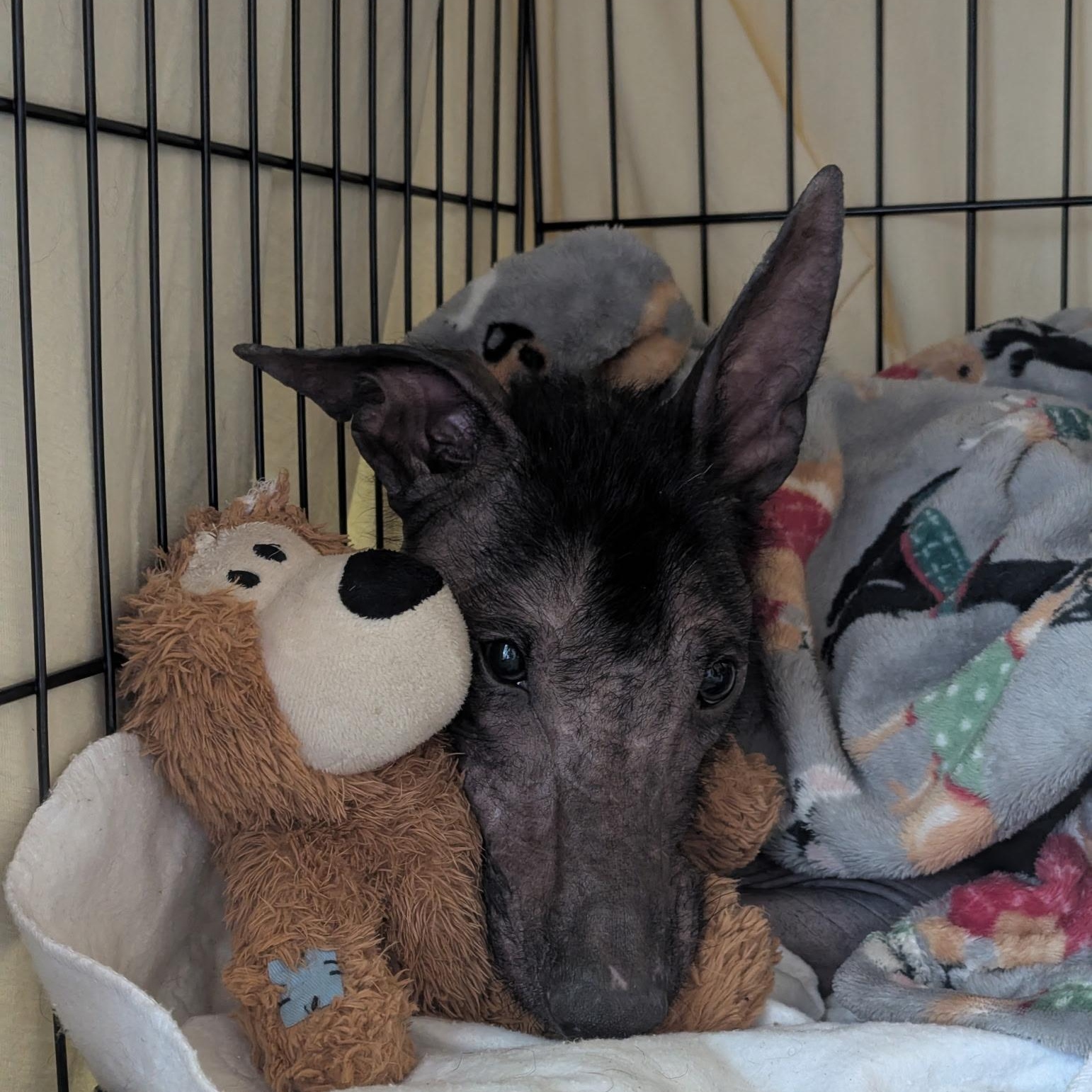 Itzae — thumbnail 5