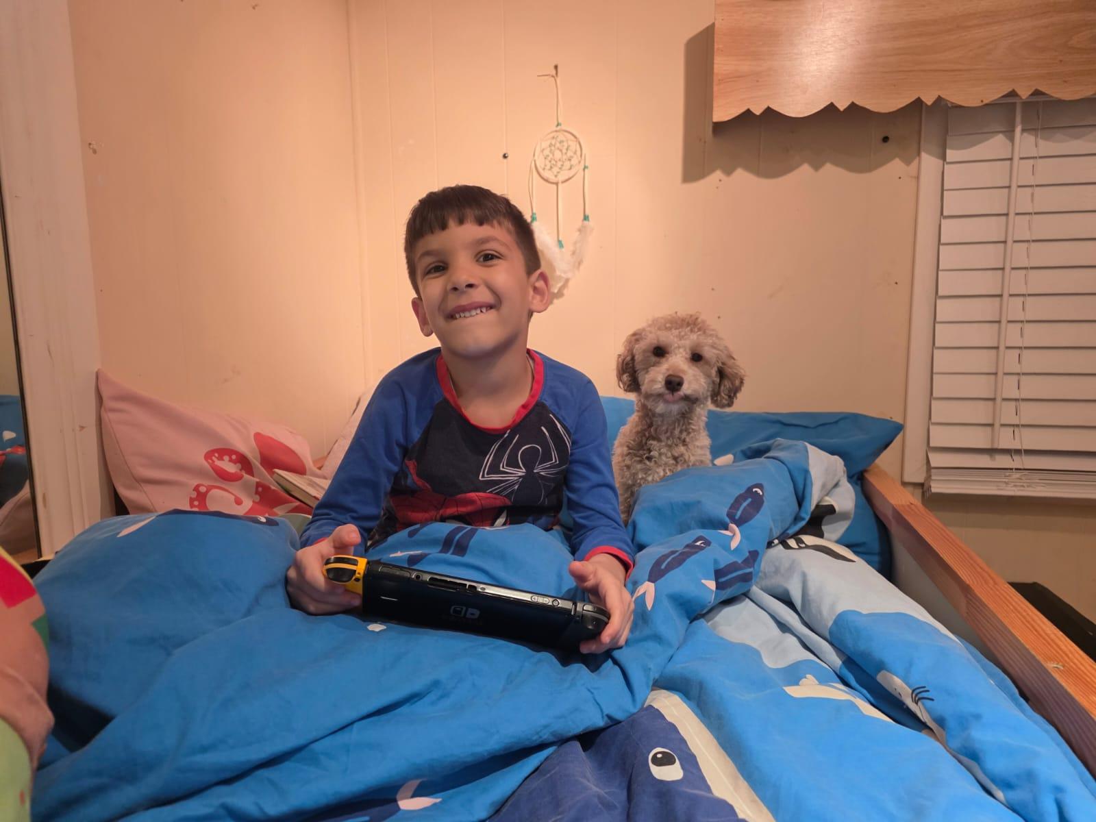 Enlarge ARES, an adopted Poodle (Toy) in Surrey, BC image 1/4