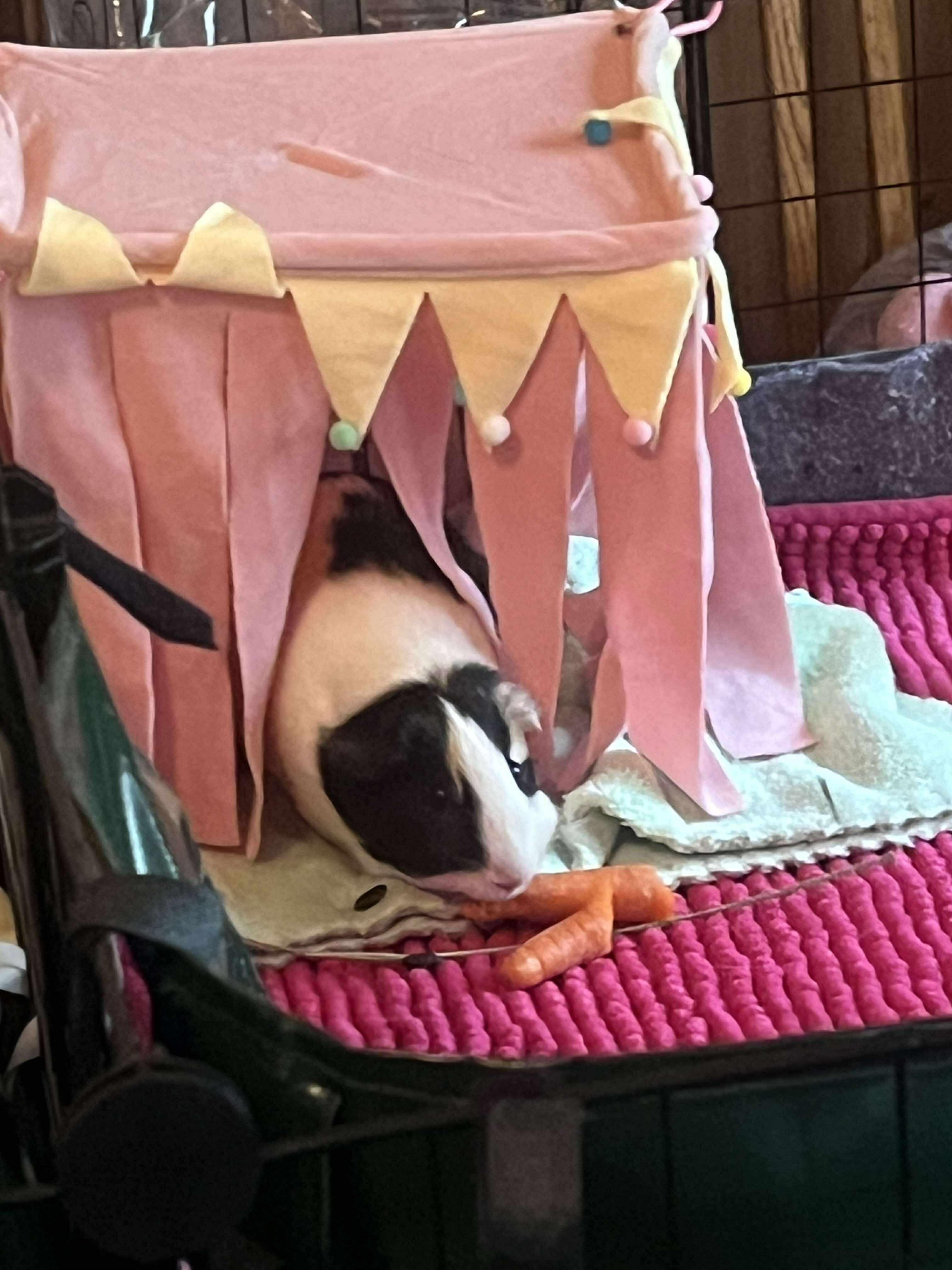 Rosie
