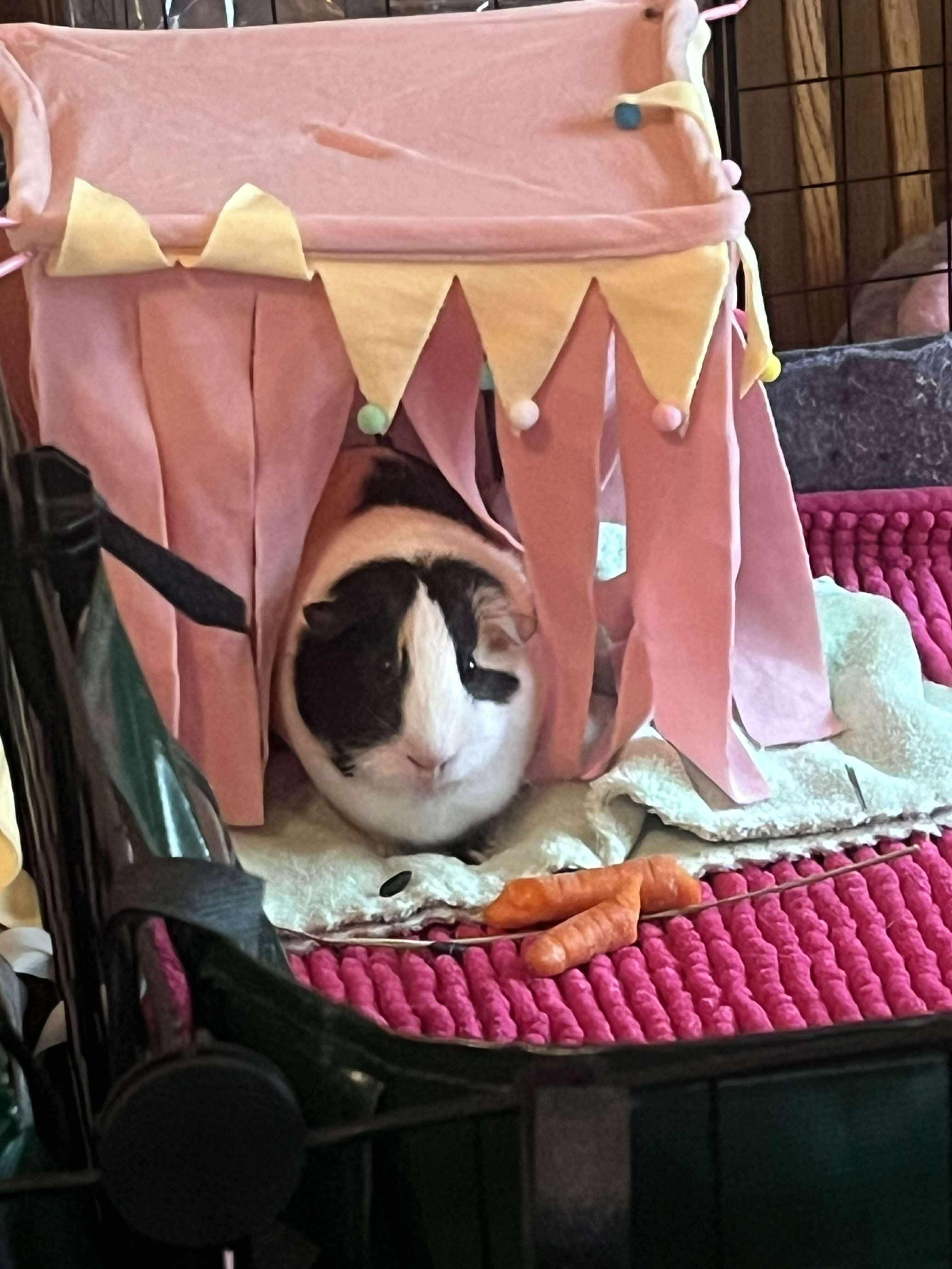 Rosie