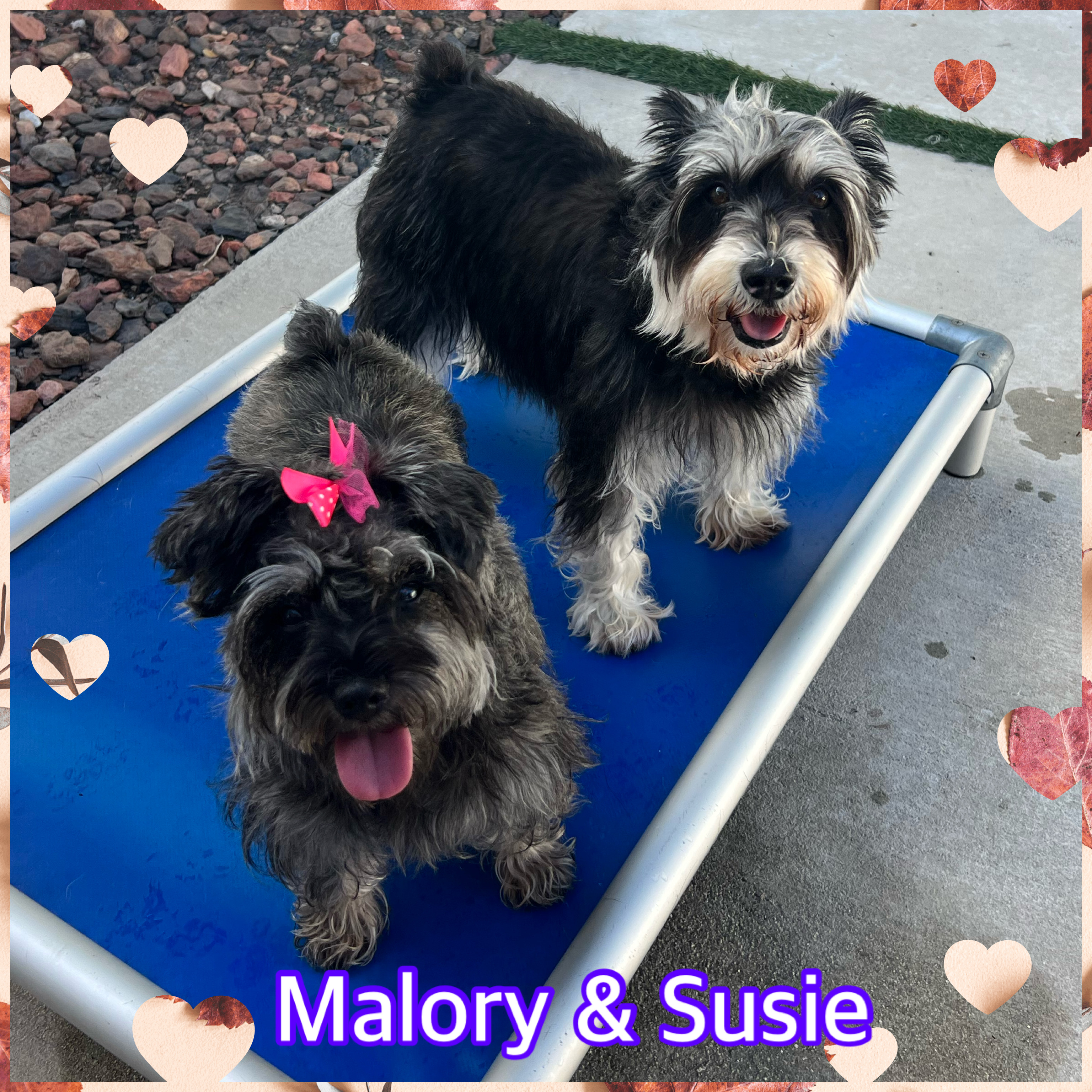 Malory photo 2