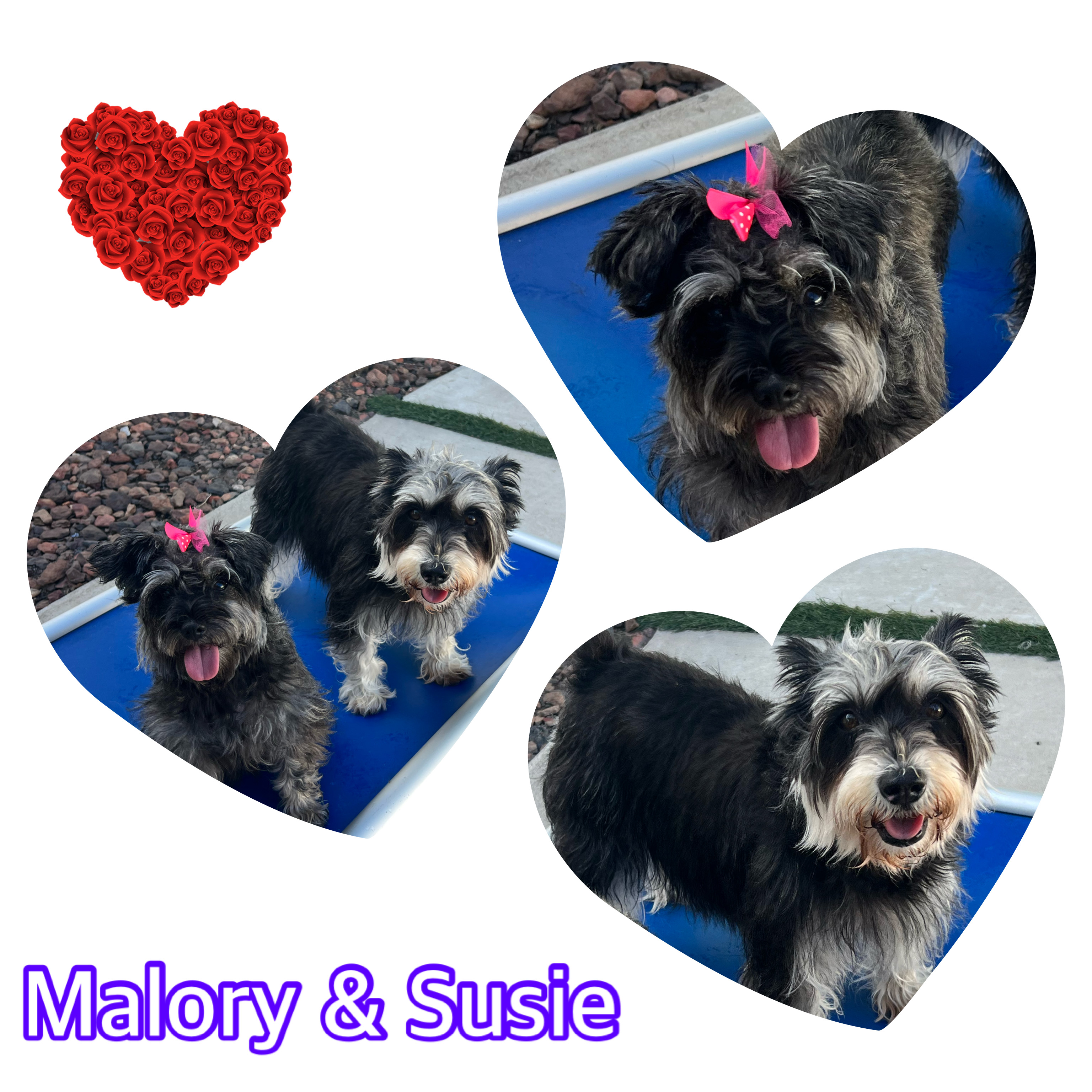 Malory photo 3