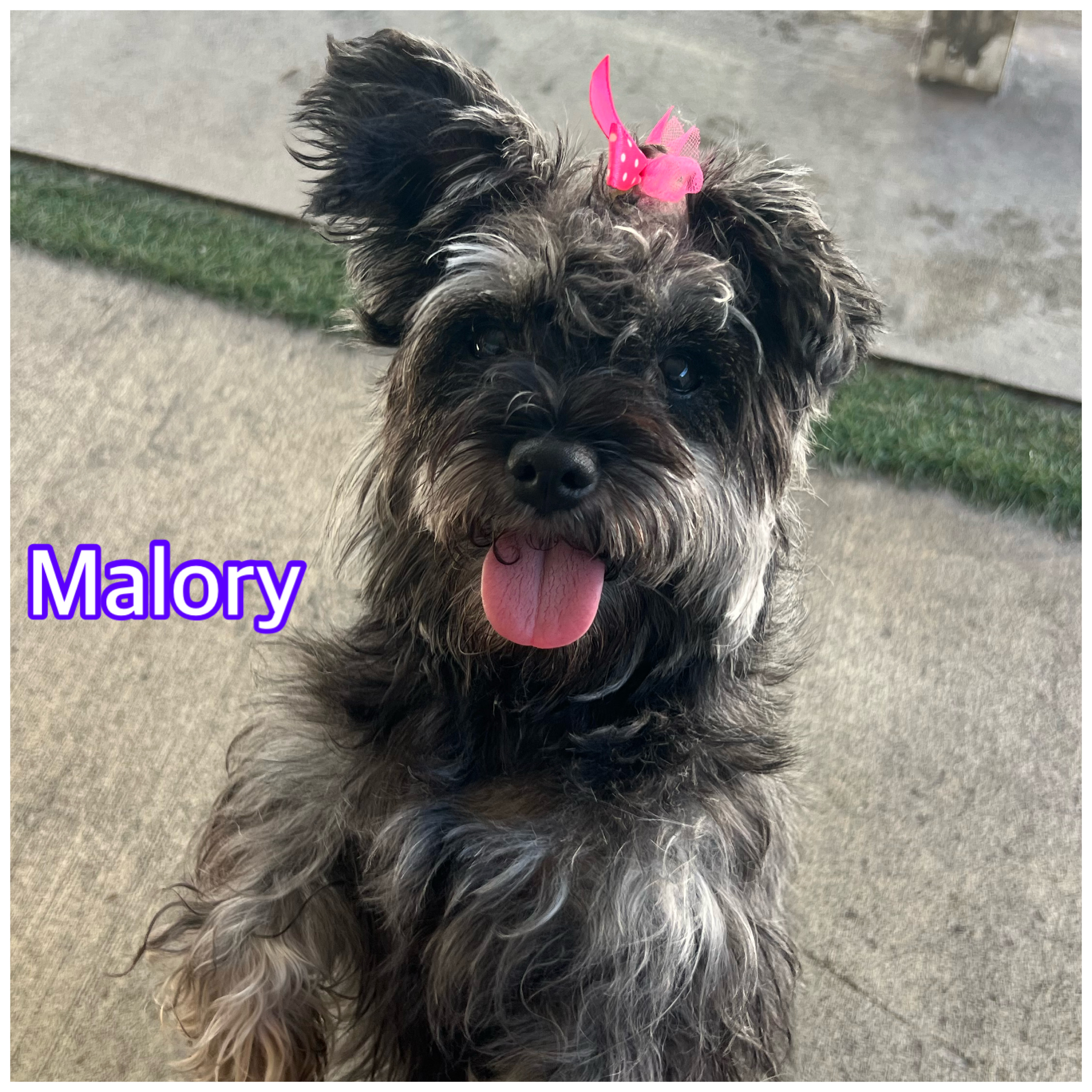 Malory photo 1