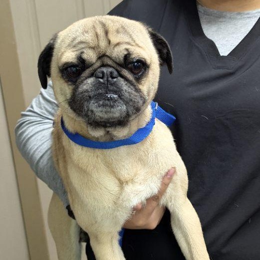 Kratos — thumbnail 2