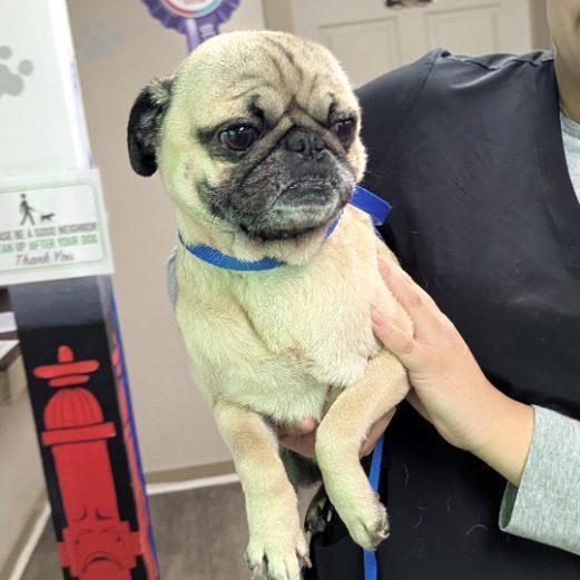 Kratos — thumbnail 5