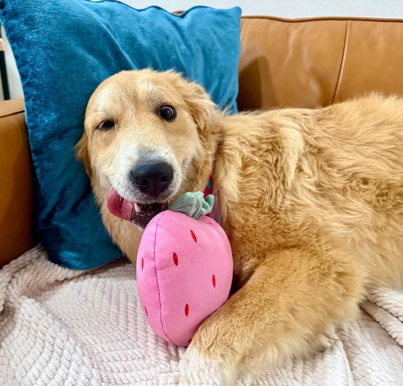 Rapunzel The Perfect Princess — thumbnail 5