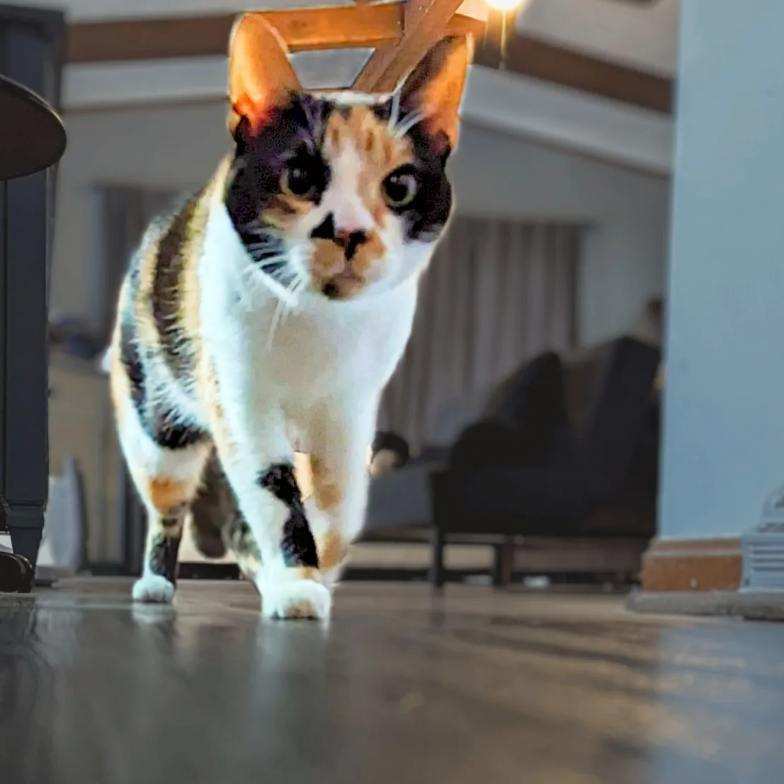 Luna