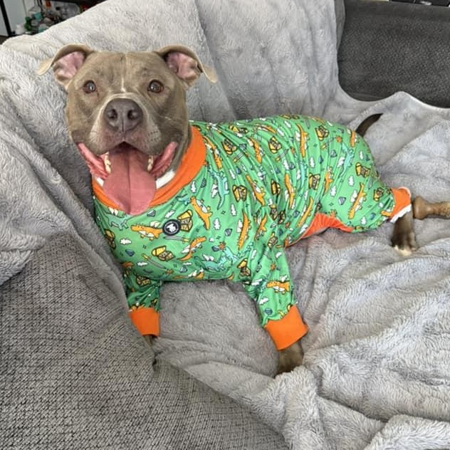 Enlarge Luka, a Adoptable mixed breed in INDIANAPOLIS, IN image 2/6