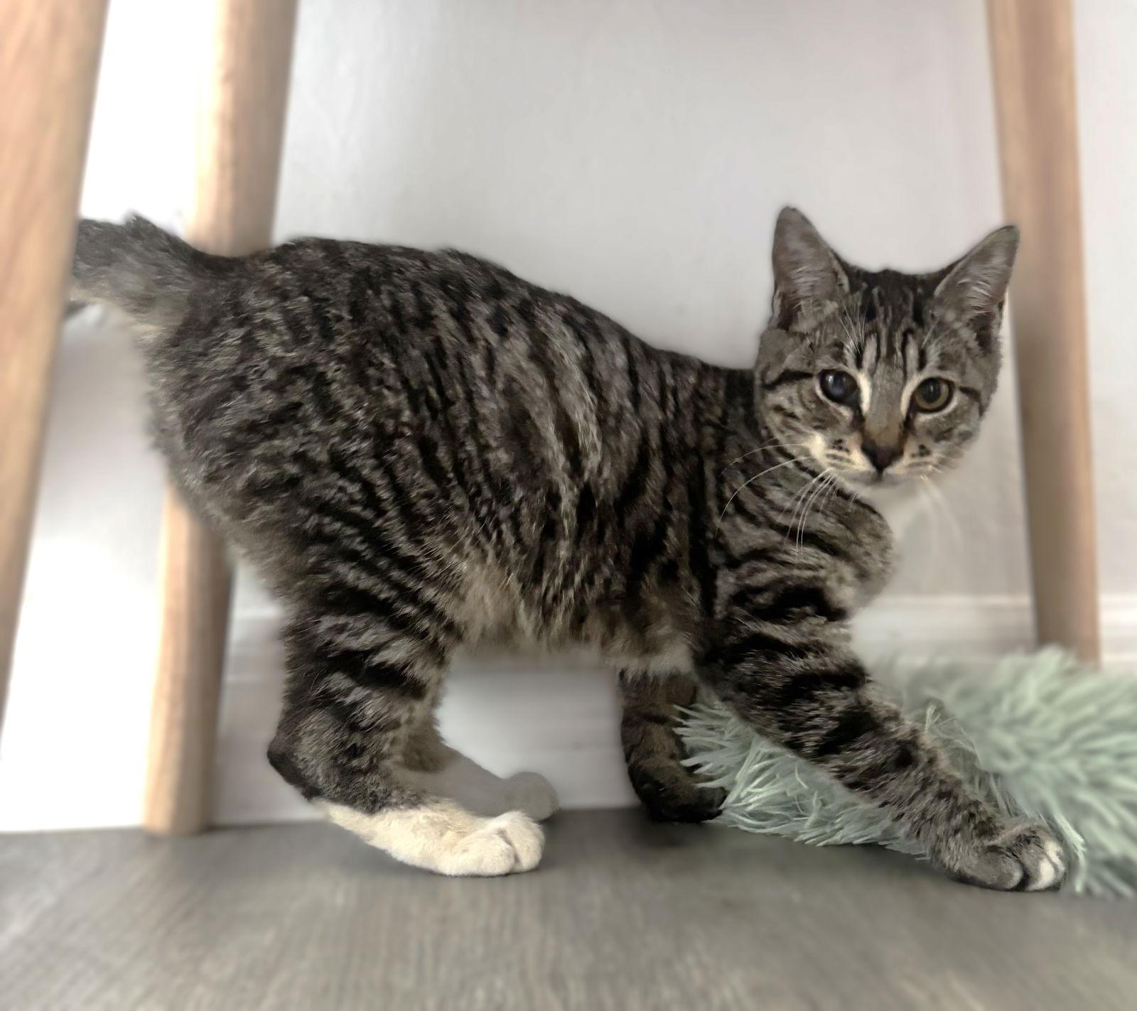 Martin — thumbnail 2