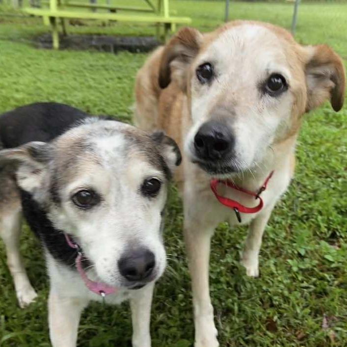 Lily — thumbnail 2