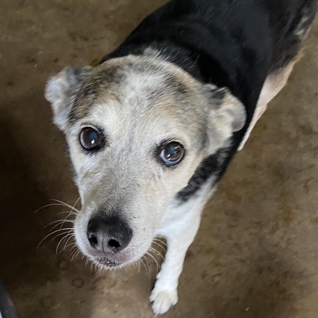 Lily — thumbnail 3