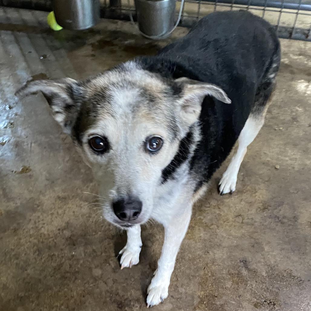 Lily — thumbnail 4