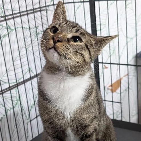 Smokey Tragarz — thumbnail 2