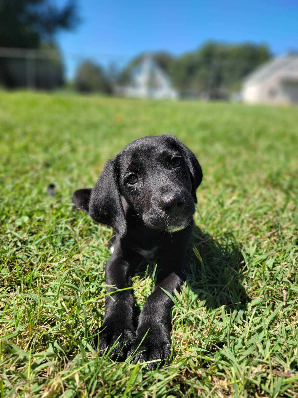 Brian