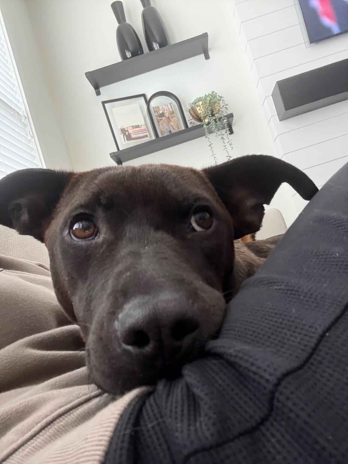 Dex