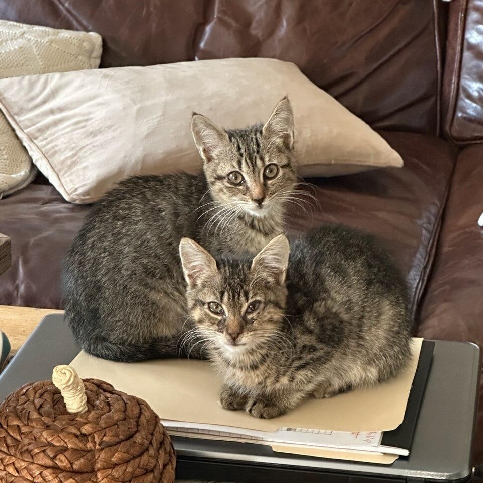 Presley & Posey