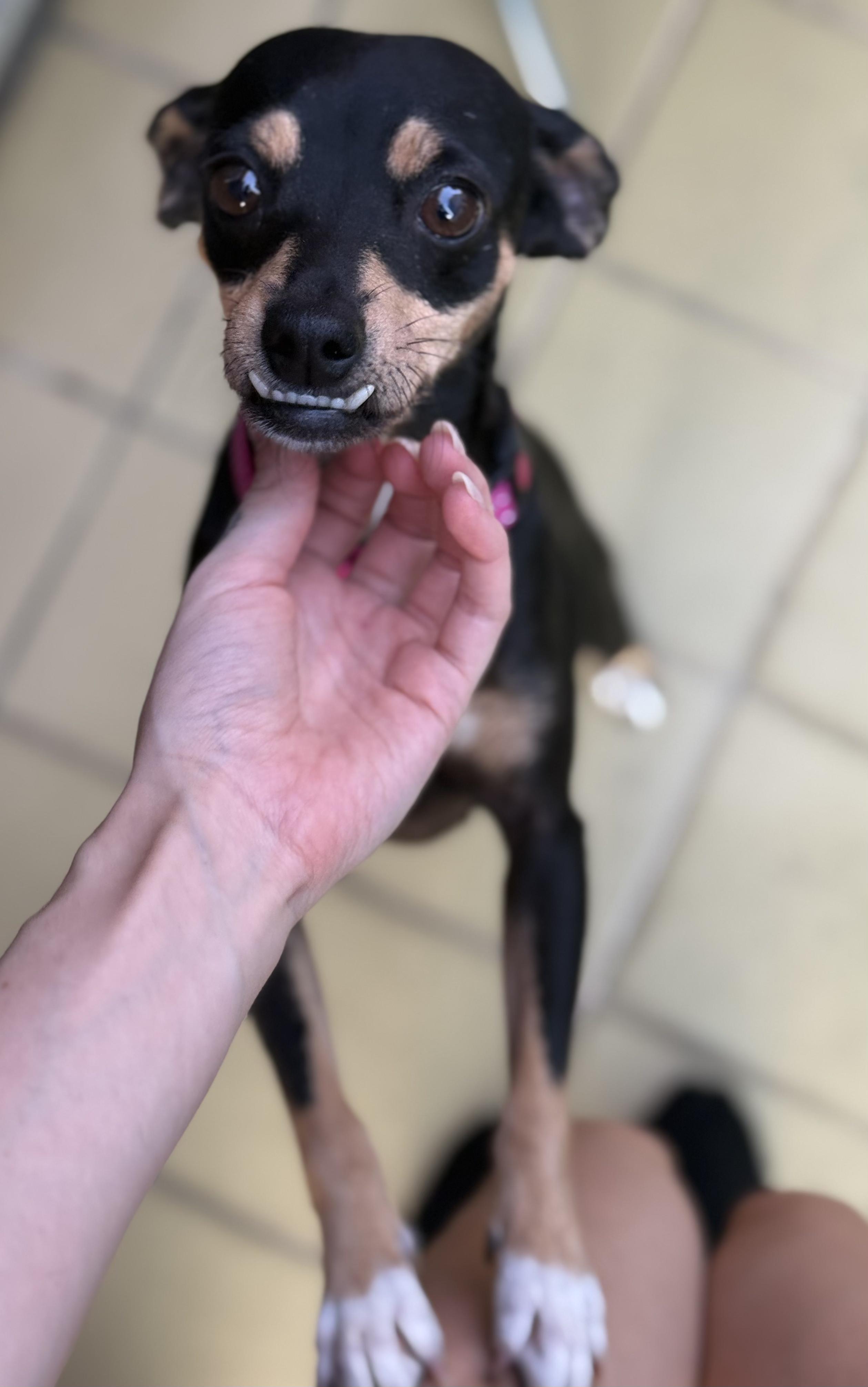 Sadie