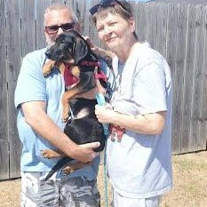 Enlarge Diesel, a Adoptable mixed breed in Yukon, OK image 4/6
