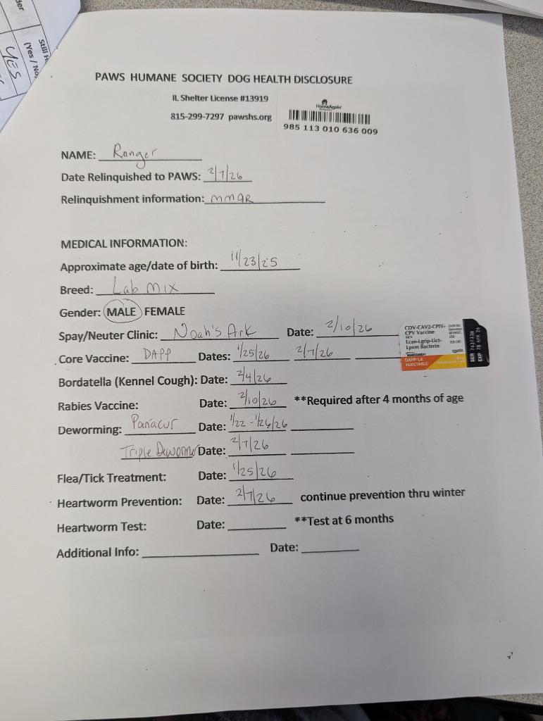 Enlarge Ranger, a Adopted mixed breed in Rockford, IL image 3/5