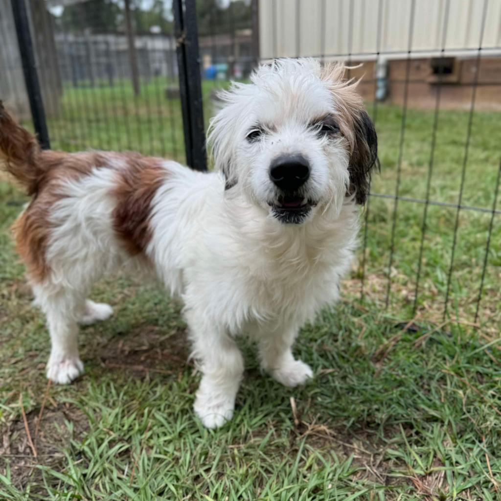 Boots Mcgee thumbnail 2