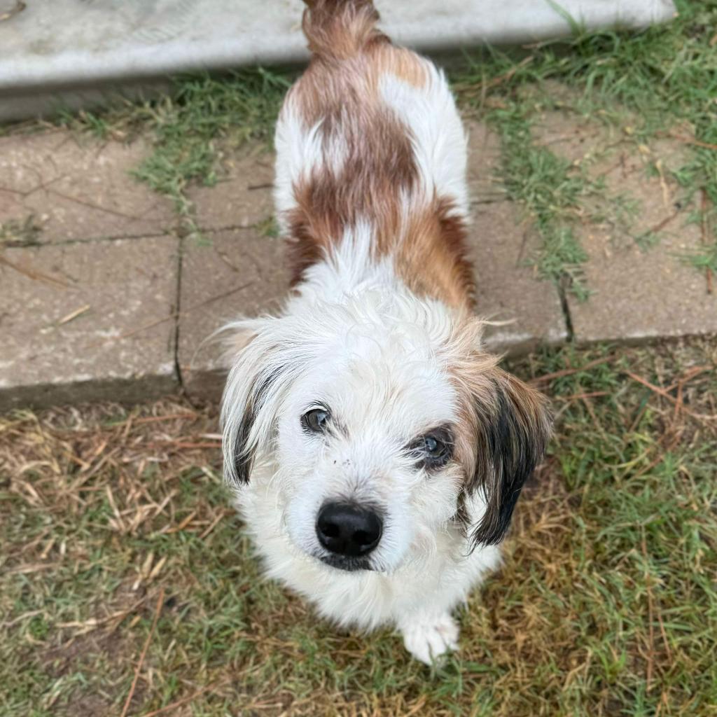 Boots Mcgee thumbnail 4