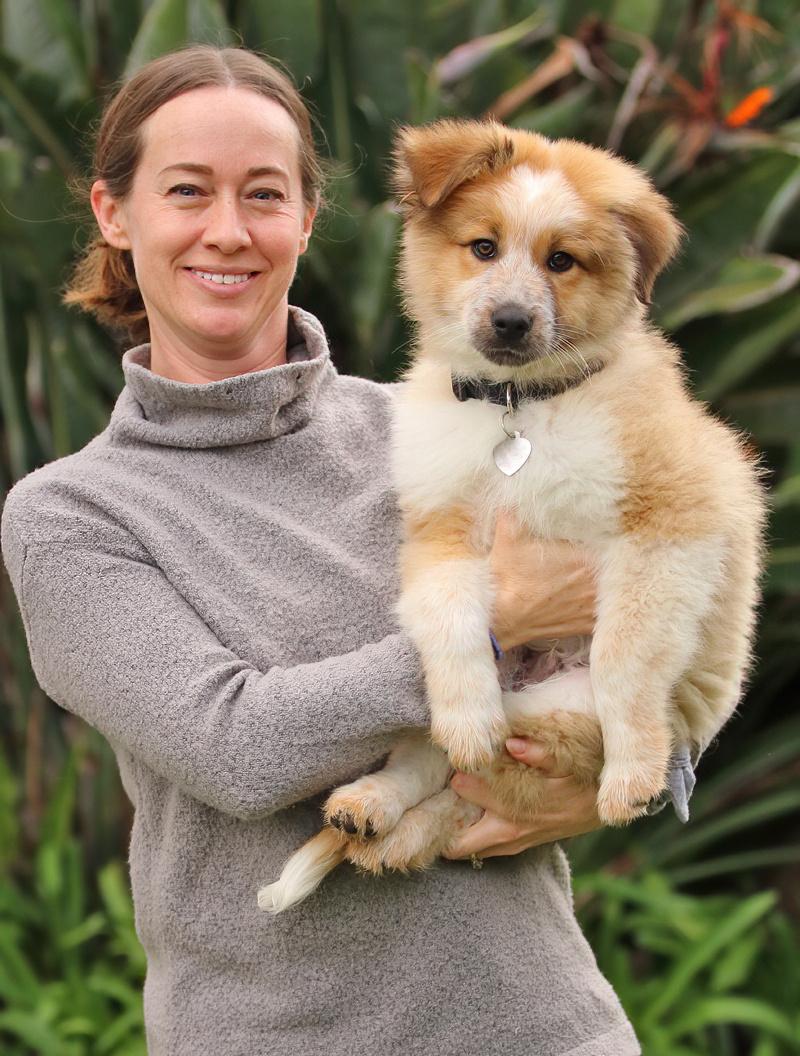 Enlarge *Chewy von Davos, an adopted mixed breed in Los Angeles, CA image 2/6