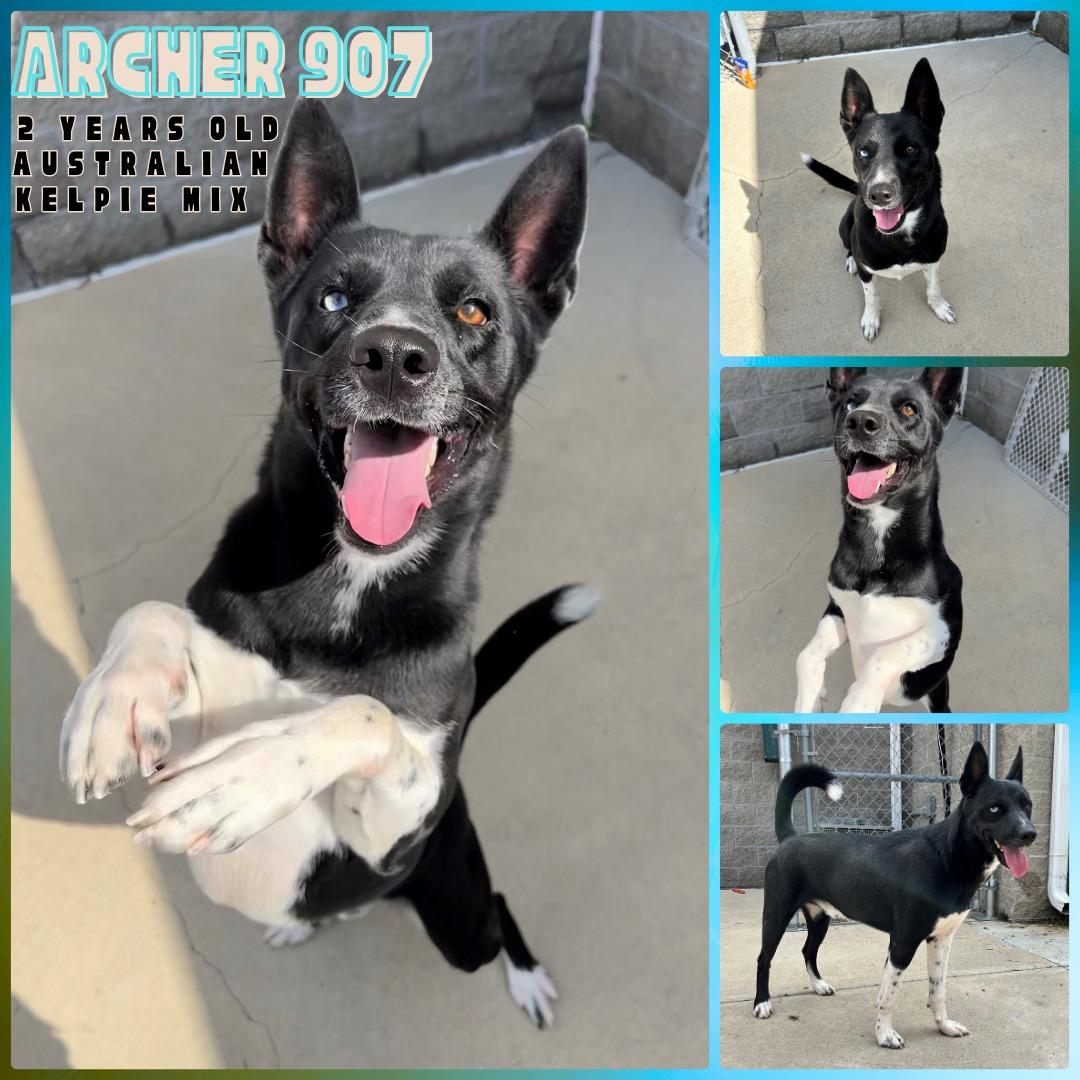 Archer 907