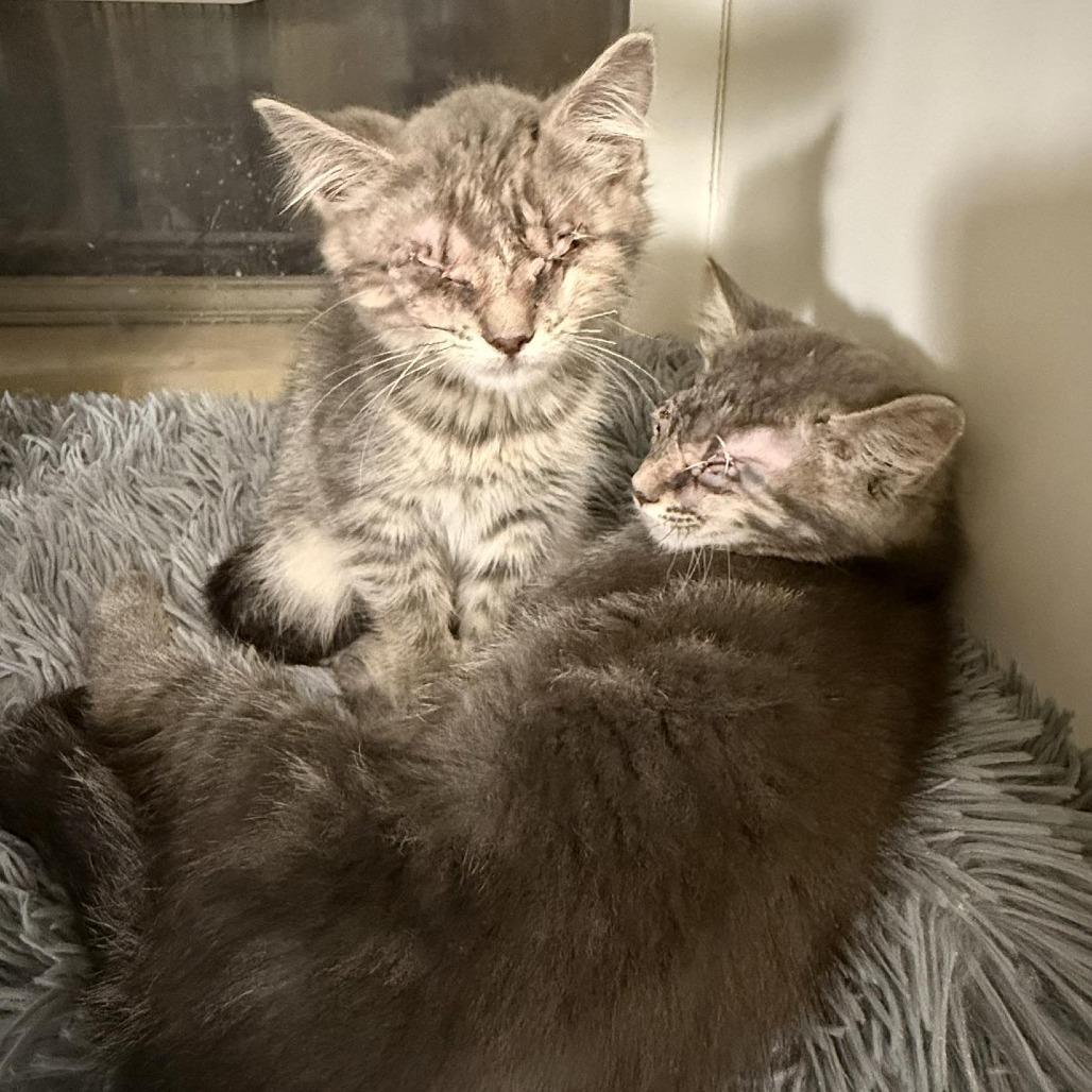 Martin & Maria