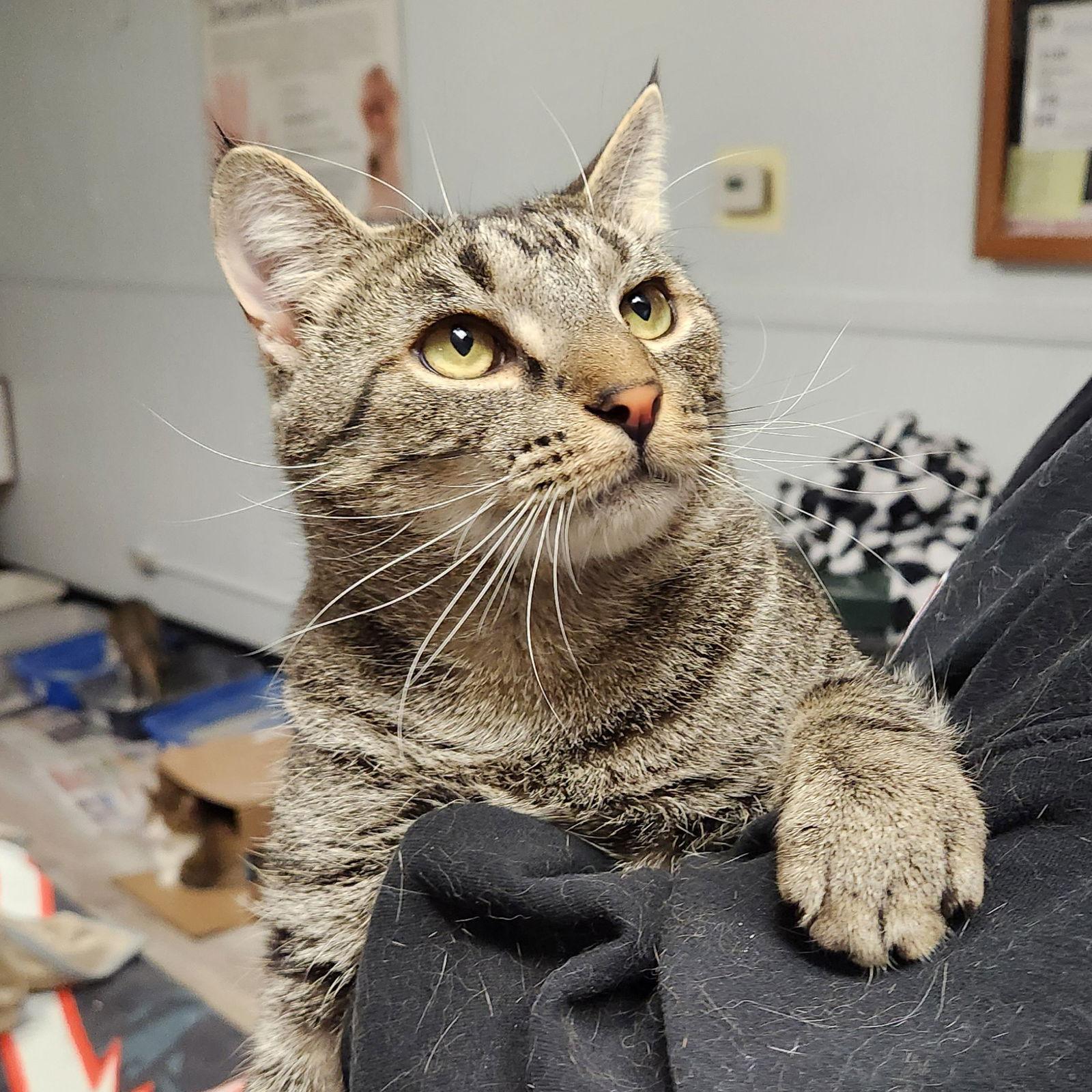 Toby — thumbnail 3