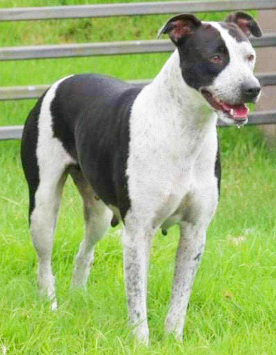 Dalma "happy For You." thumbnail 2