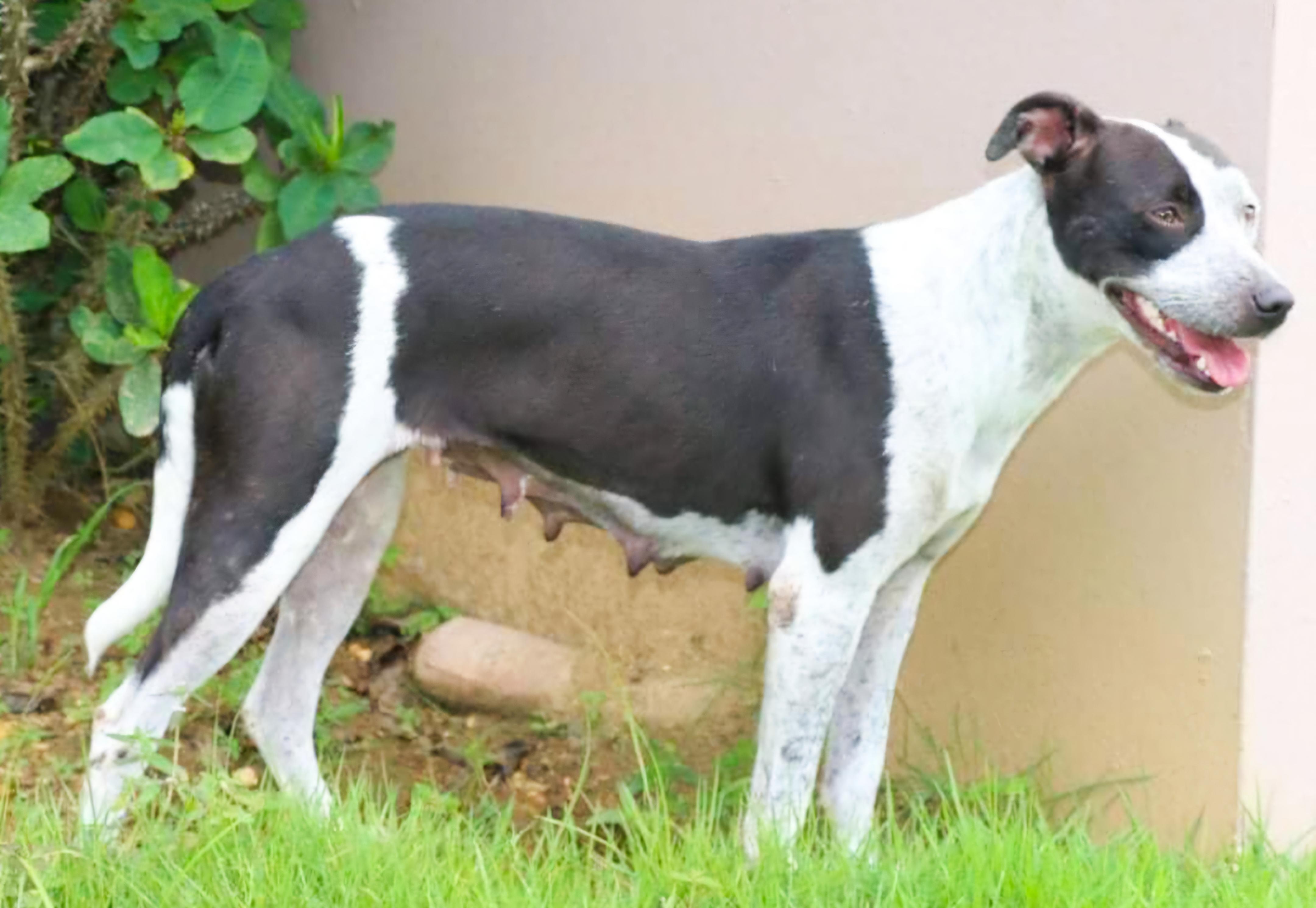 Dalma "happy For You." thumbnail 4