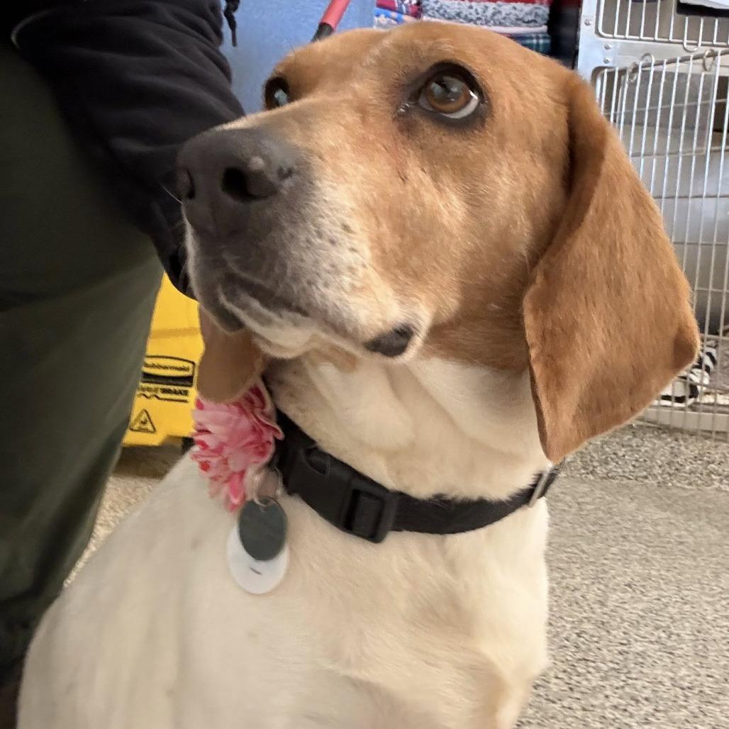 Bella Bologna — thumbnail 3