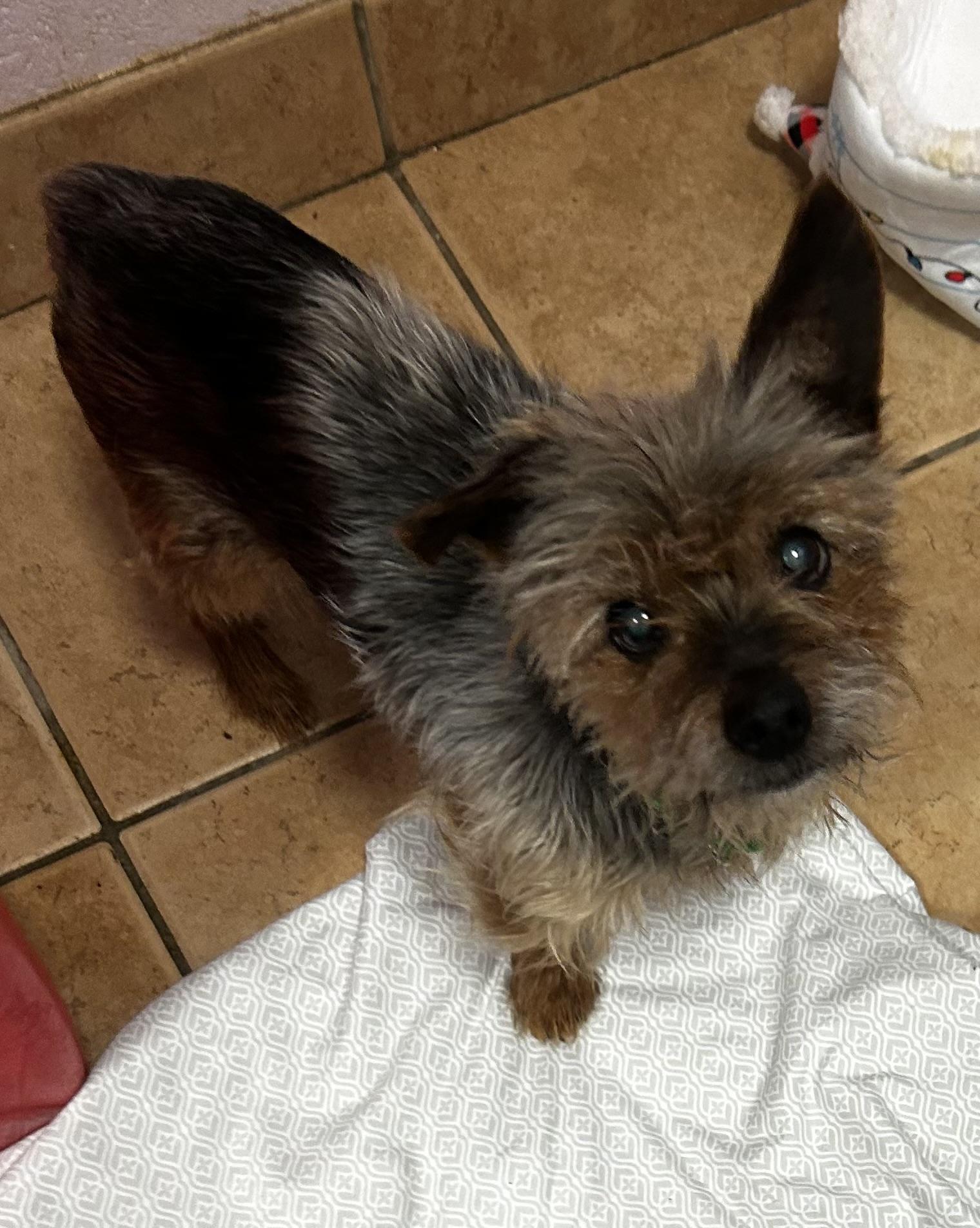 Eldridge thumbnail 3