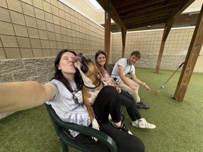 Enlarge Davinci, a Adoptable mixed breed in Fishers, IN image 6/6