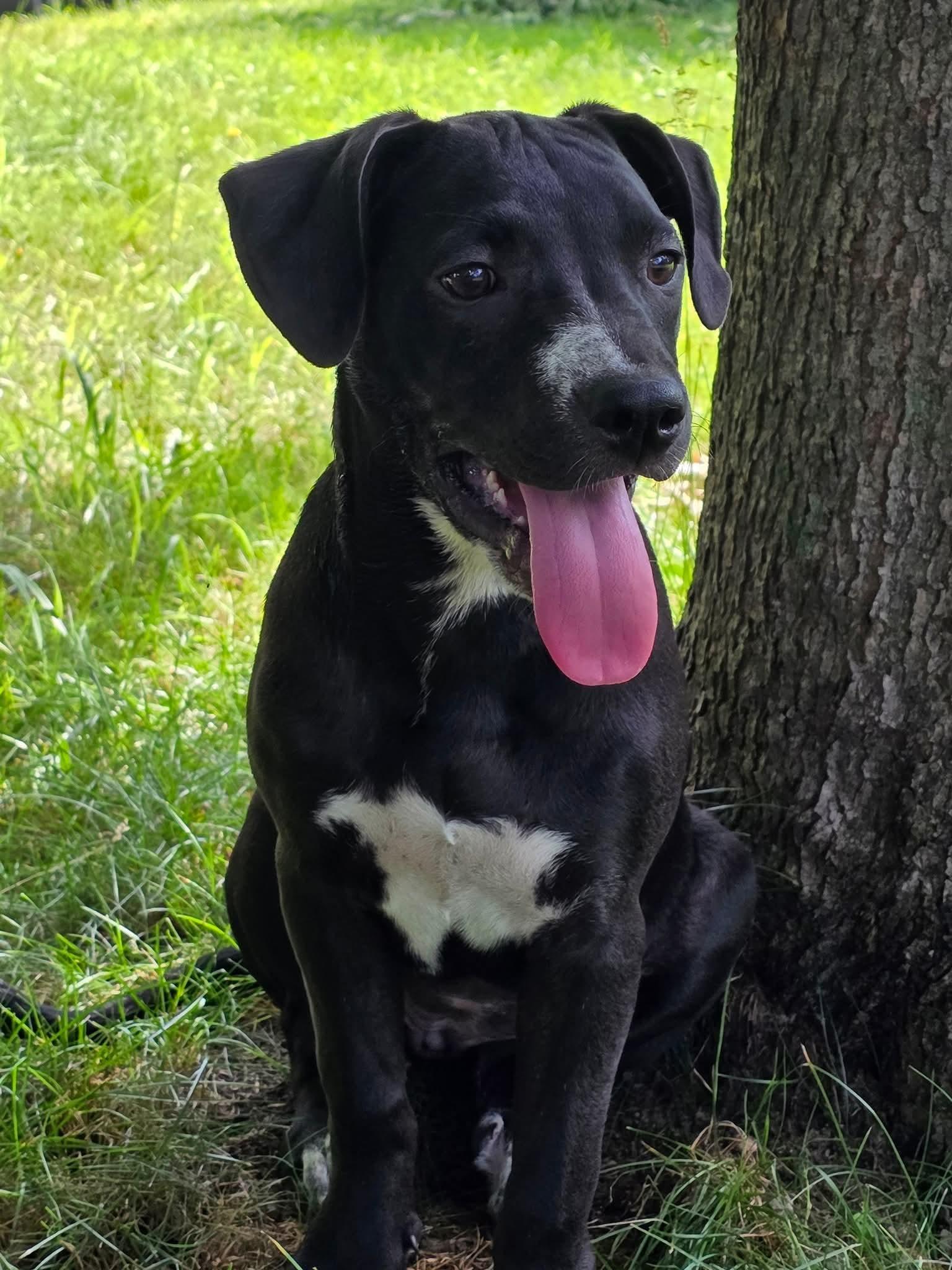 Kim - In Foster