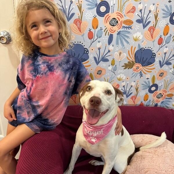 Shortcake Sweetie — thumbnail 3