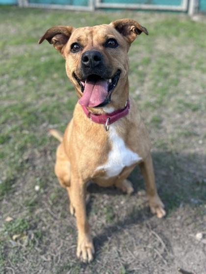 Meena — thumbnail 3