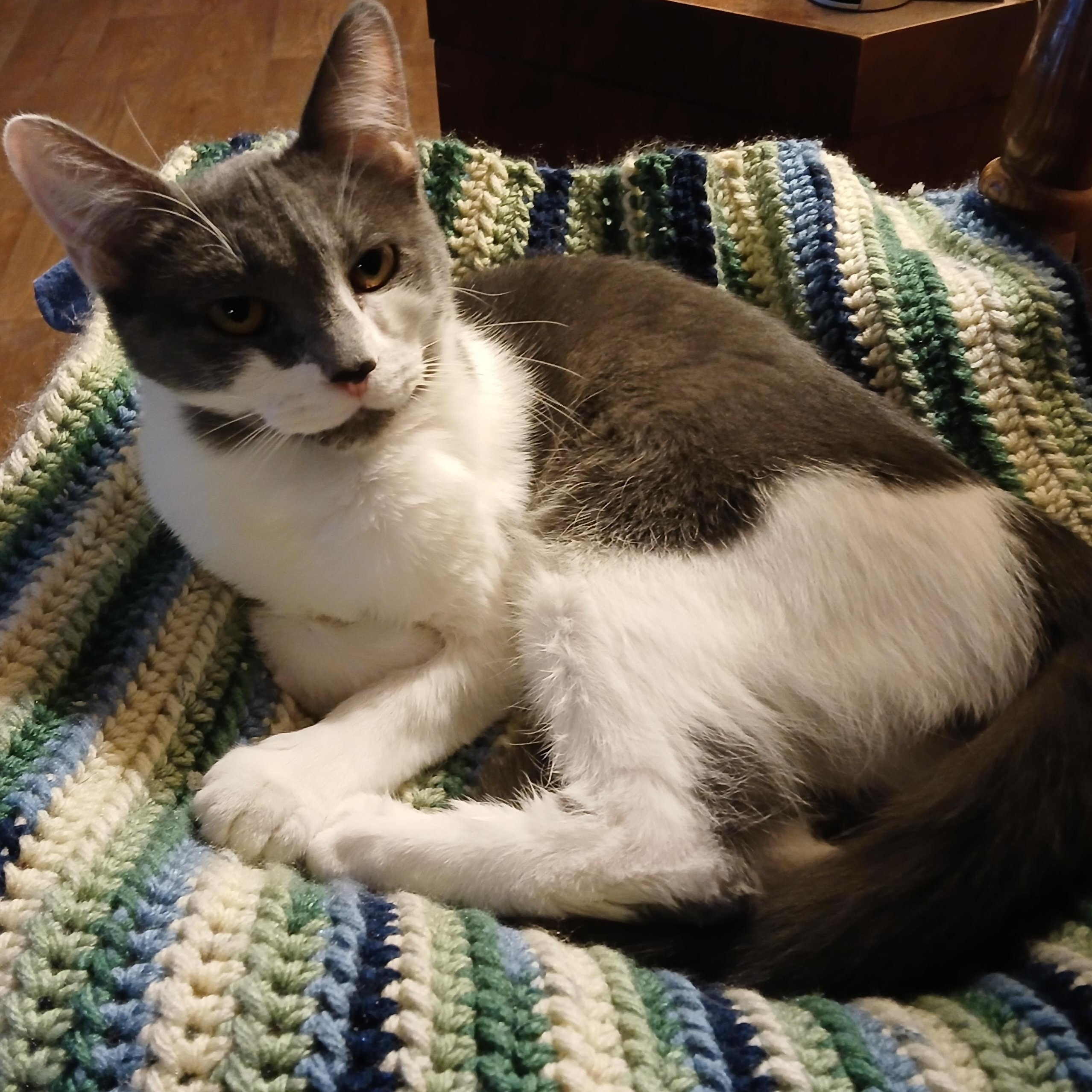 Little Debbie thumbnail 5