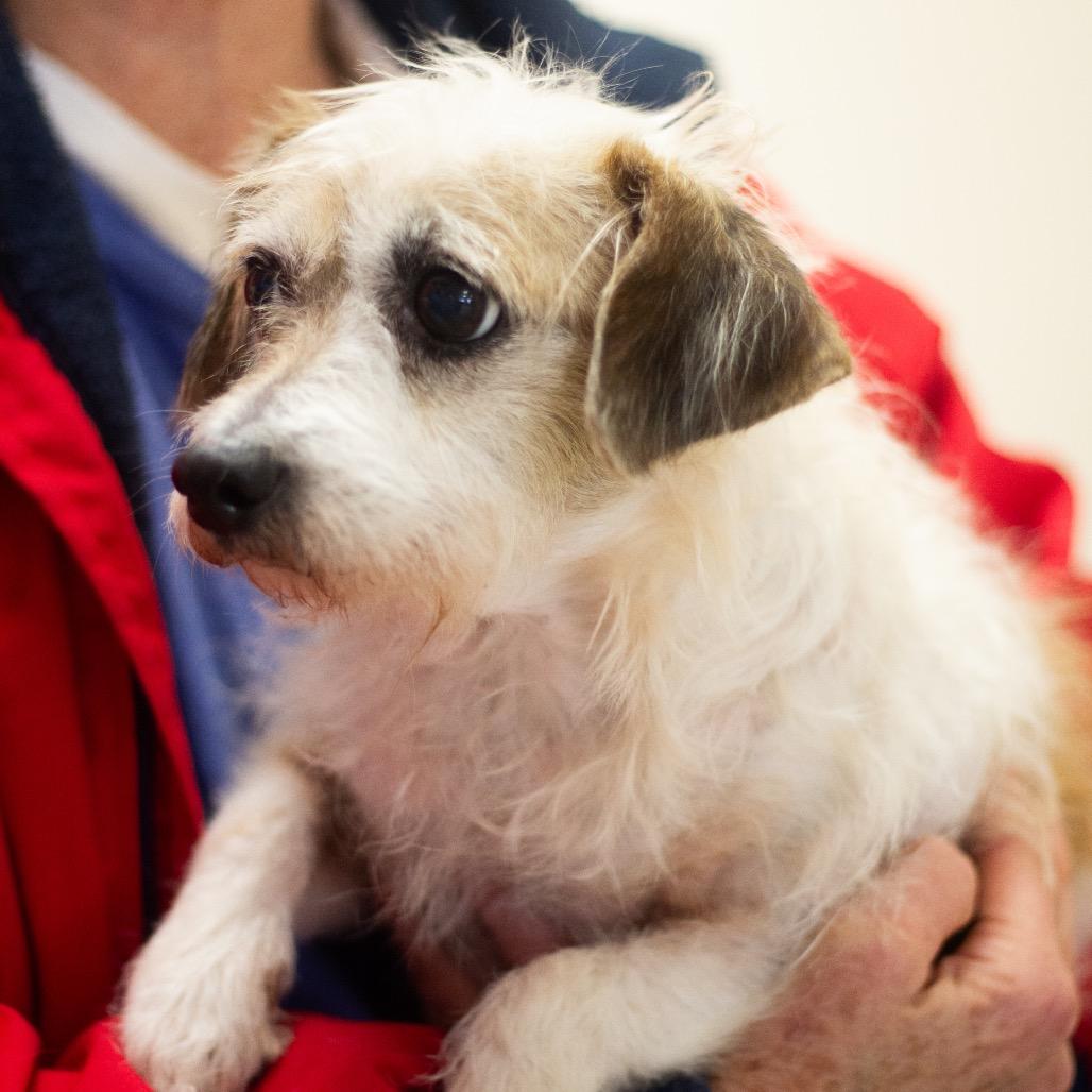 Charm 22389 — thumbnail 2