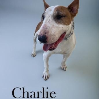 Charlie