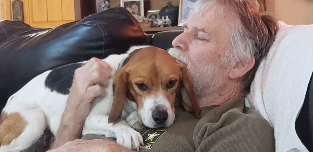 Willie, a Adopted Beagle in Grandy, NC image 4/6