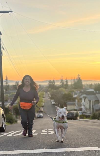 Ivory, a Adoptable mixed breed in oakland, CA image 5/6