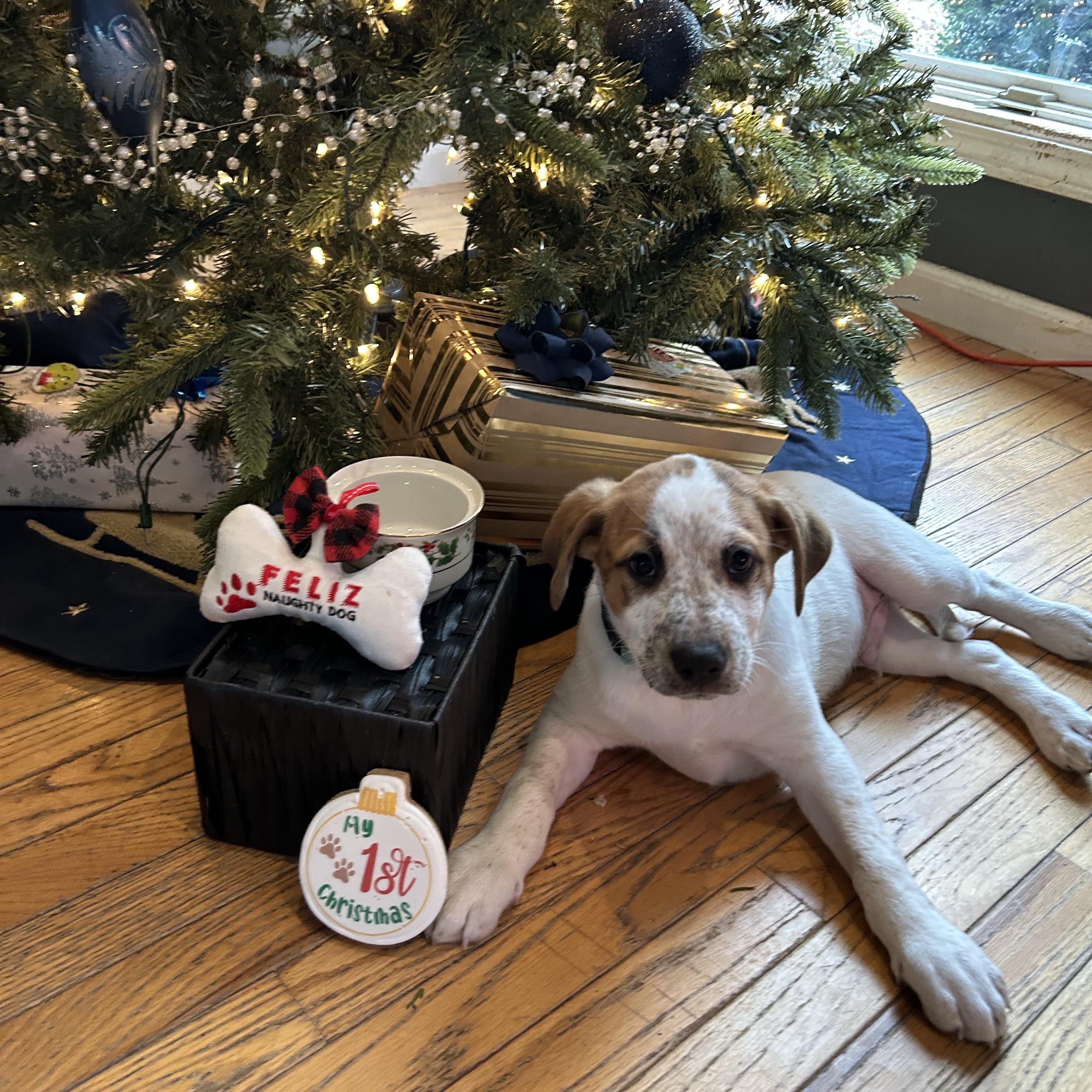 Thrasher — thumbnail 6